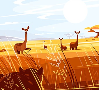 Savanna Wildlife Illustration